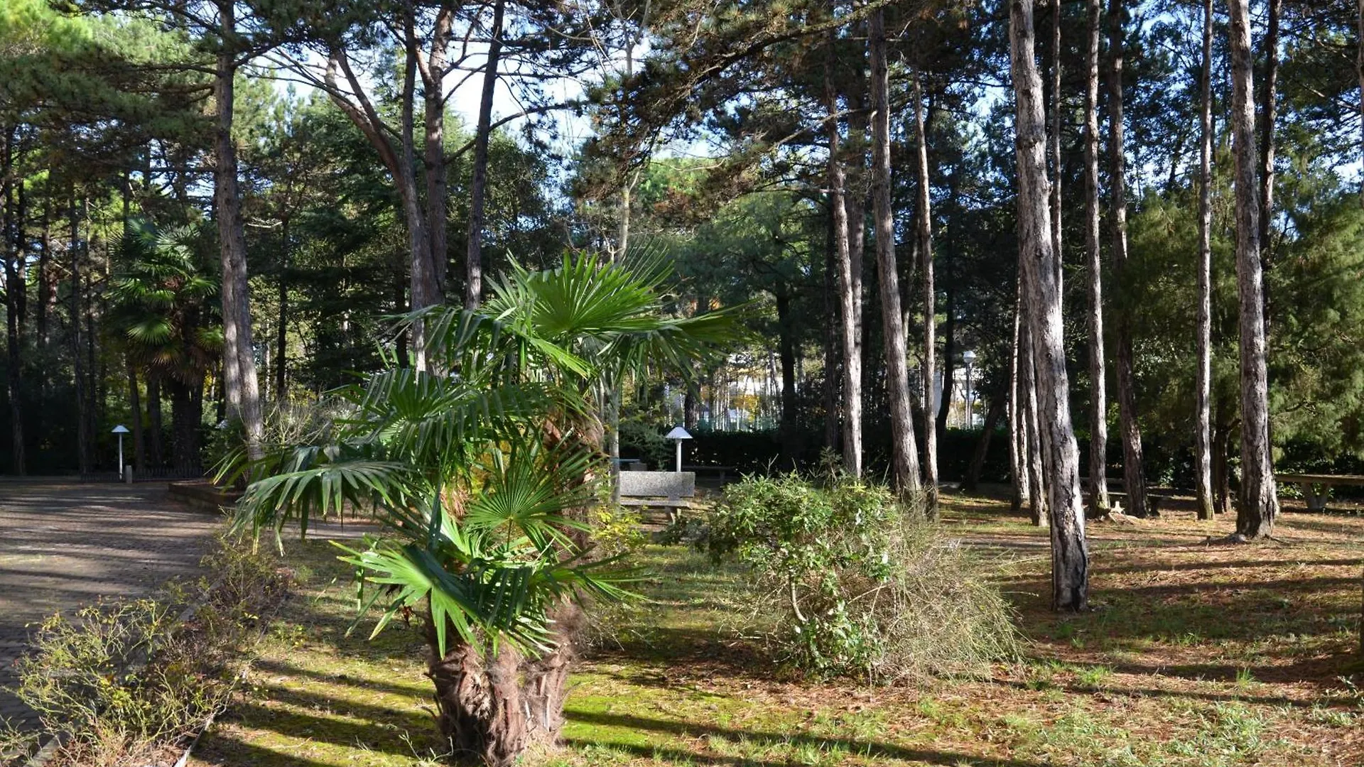 Apartment Appartamenti Alemagna Bibione